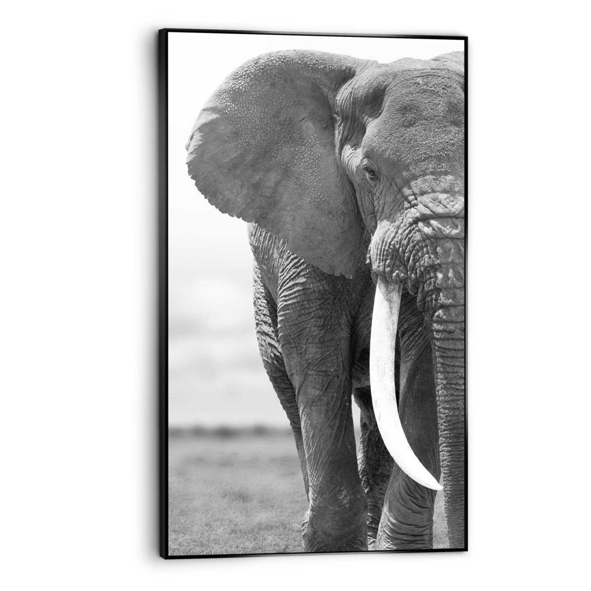 Art Frame Olifant 118x70 - Reinders