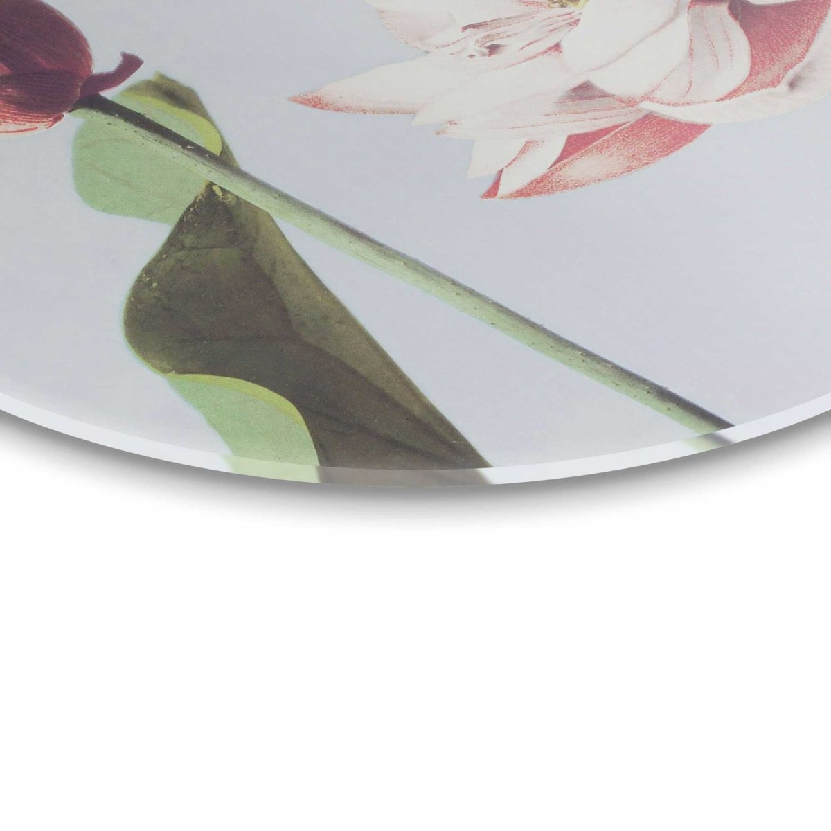 Glasschilderij Elegante Bloem 50 Rond - Reinders