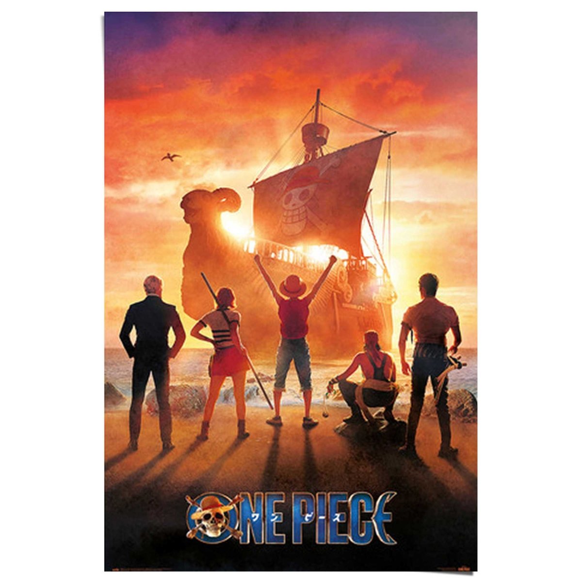 Poster One Piece - straw hat pirates 91,5x61 – Reindersshop