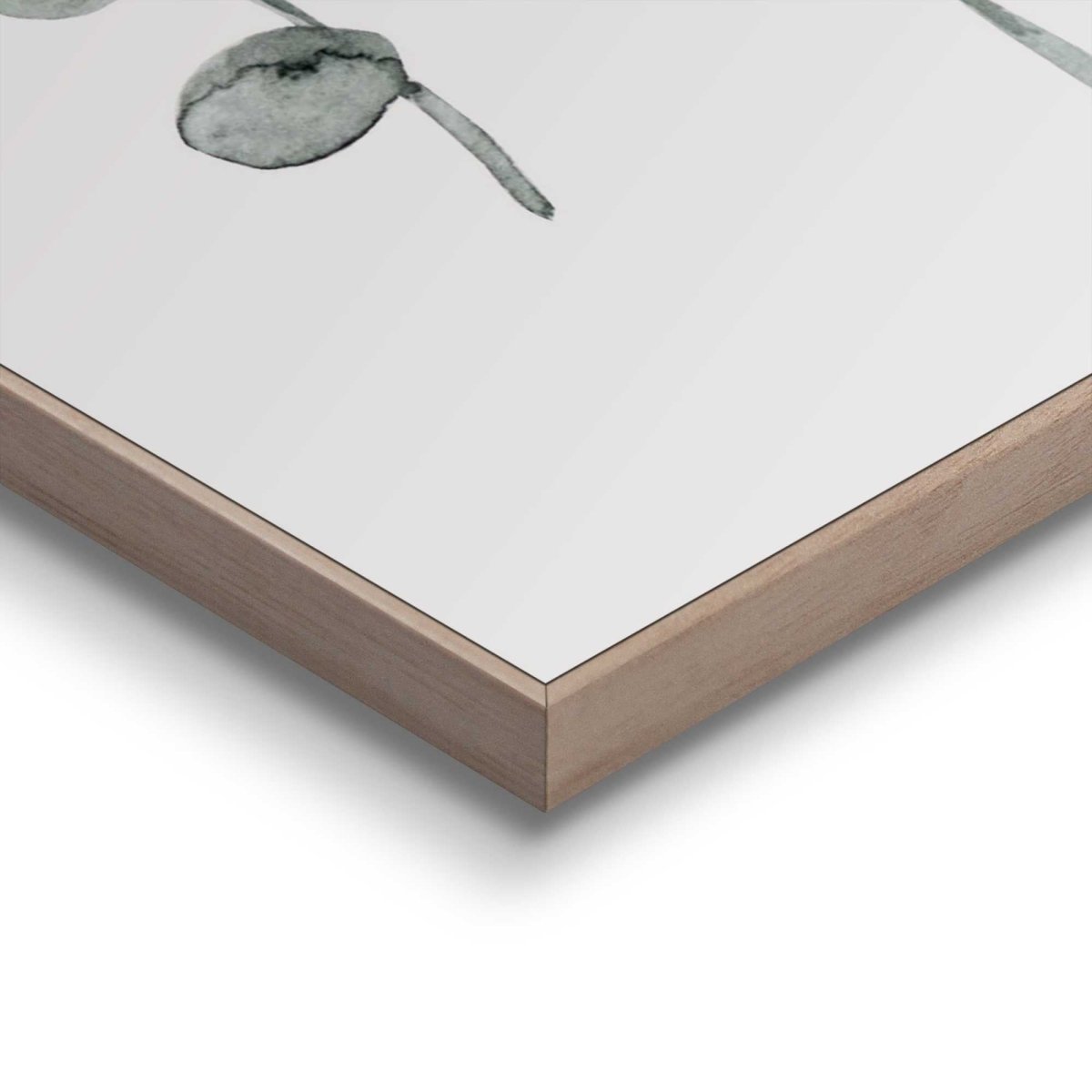 Schilderij Eucalyptus 50x40 - Reinders