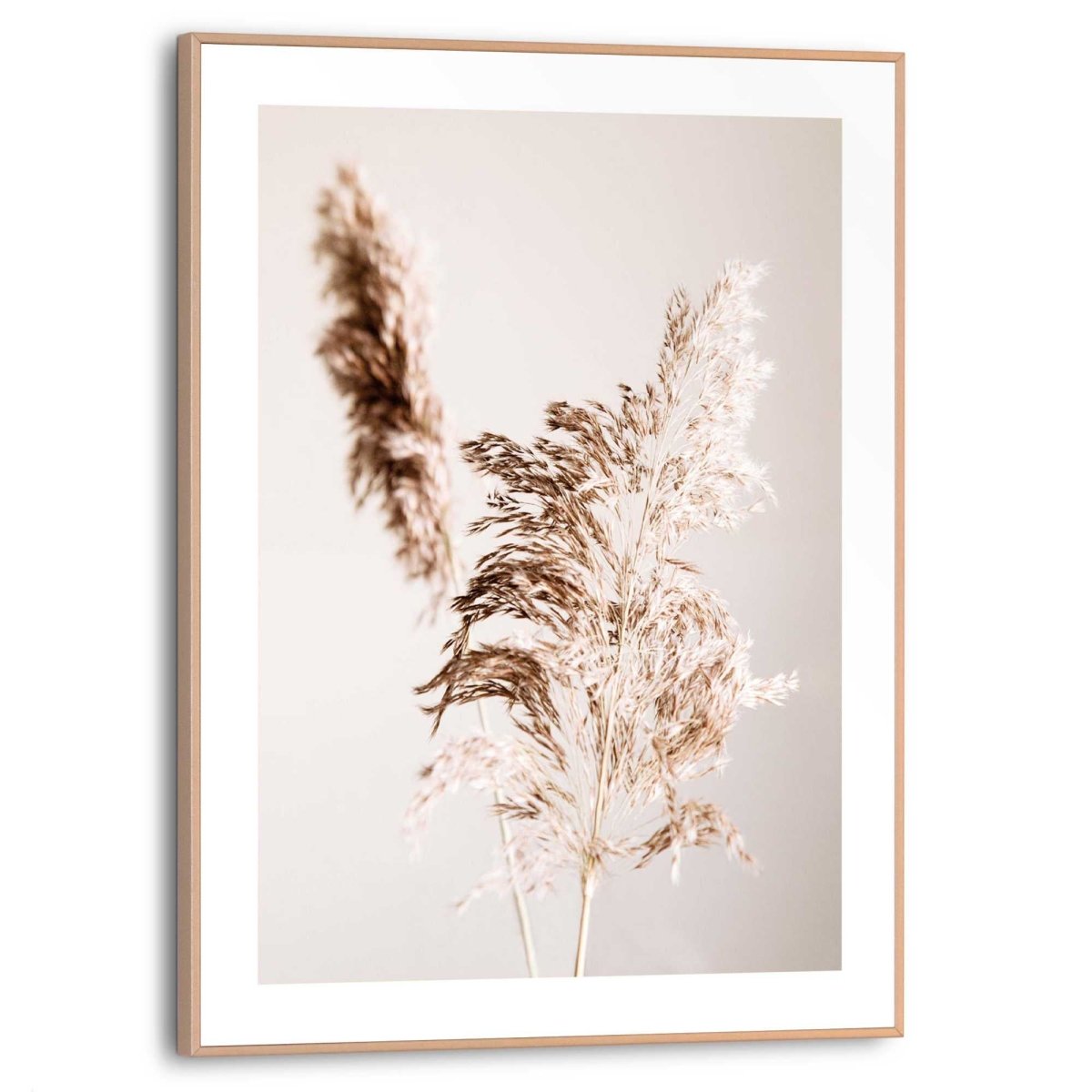 Schilderij Pampas 40x30 - Reinders