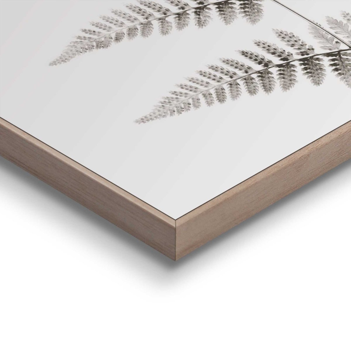 Schilderij Varen 50x40 - Reinders