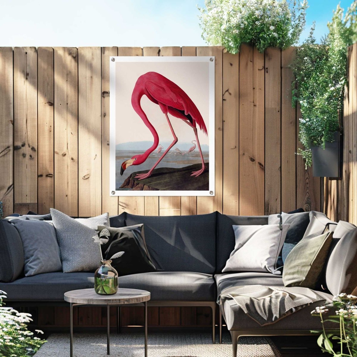 Tuinposter Audubon Flamingo 80x60 - Reinders