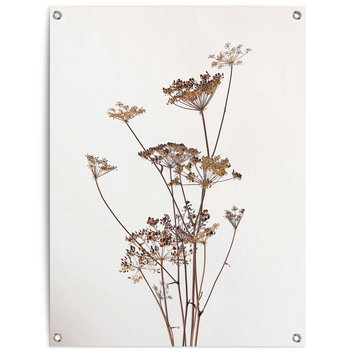 Tuinposter Bereklauw 80x60 - Reinders