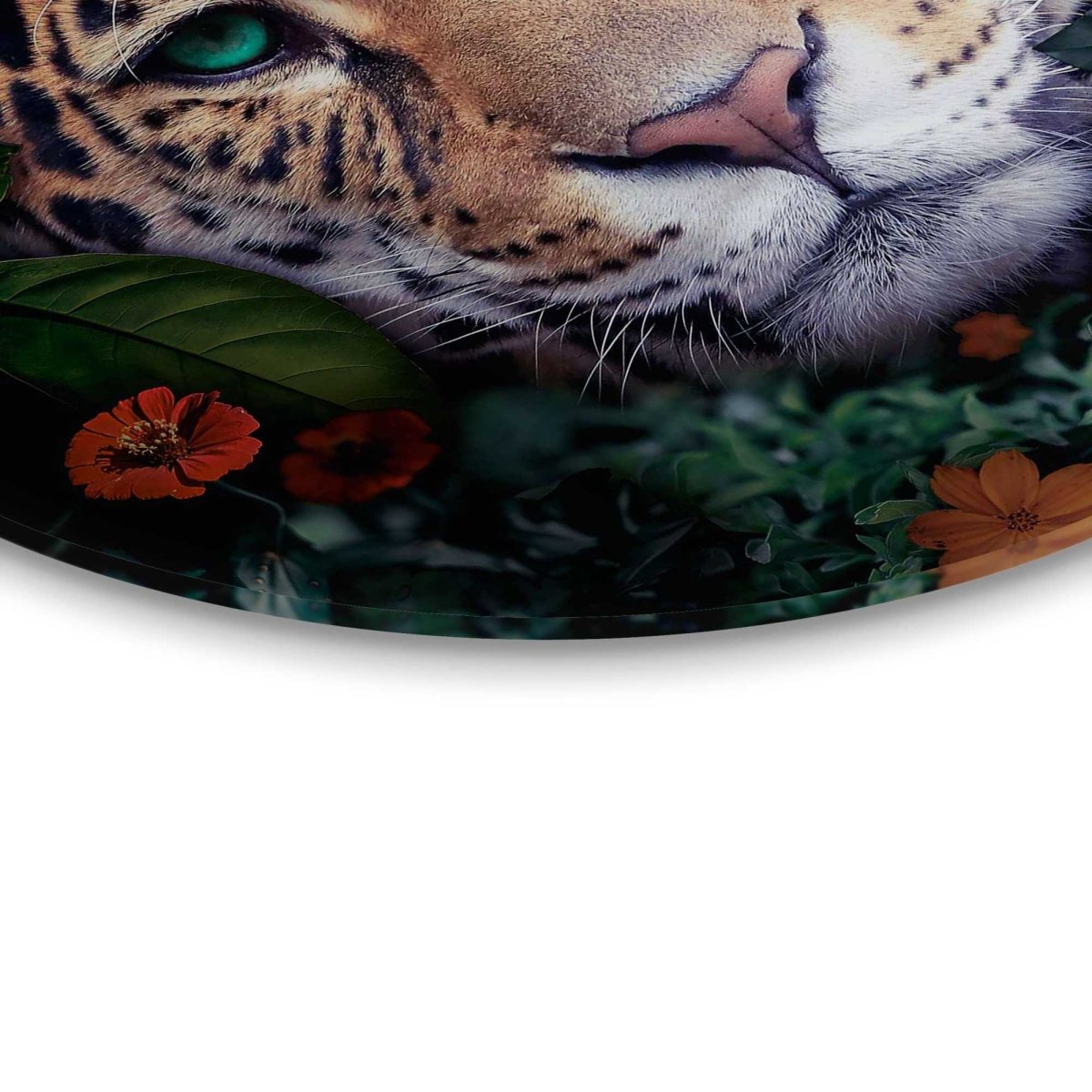 Glasschilderij Jungle luipaard 50 Rond - Reinders