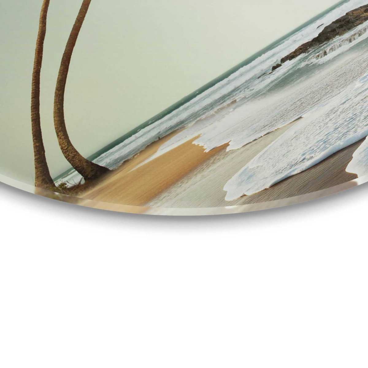 Glasschilderij Wuivende Palmen 50 Rond - Reinders