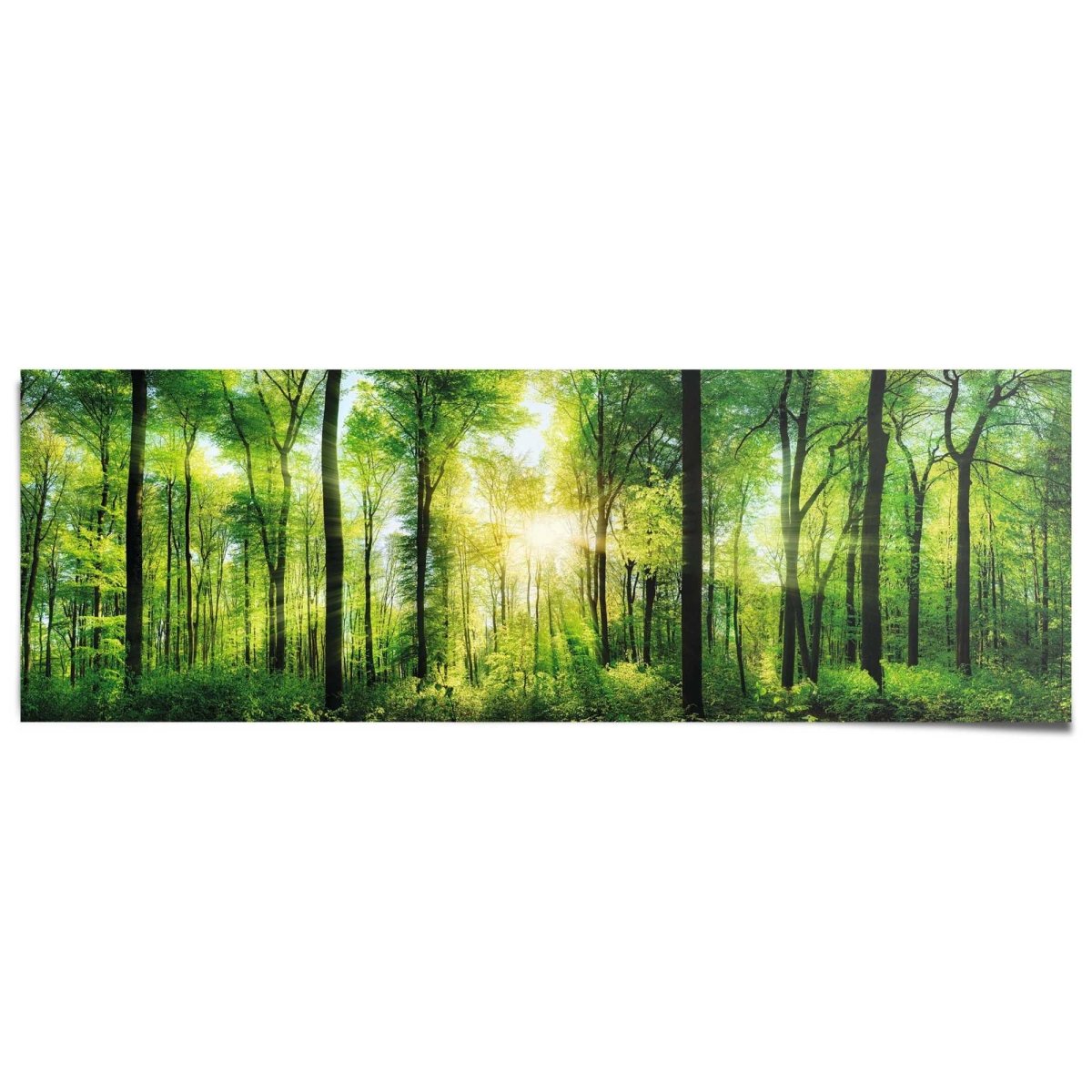 Poster Bos in zonneschijn 53x158 - Reinders