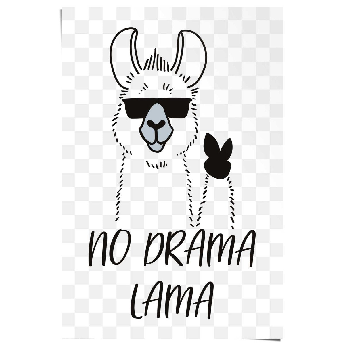 Poster Divertente Llama Alpaca Con La Scritta No Drama Llama Poster Divertente Llama Alpaca Con La Scritta No Drama Llama