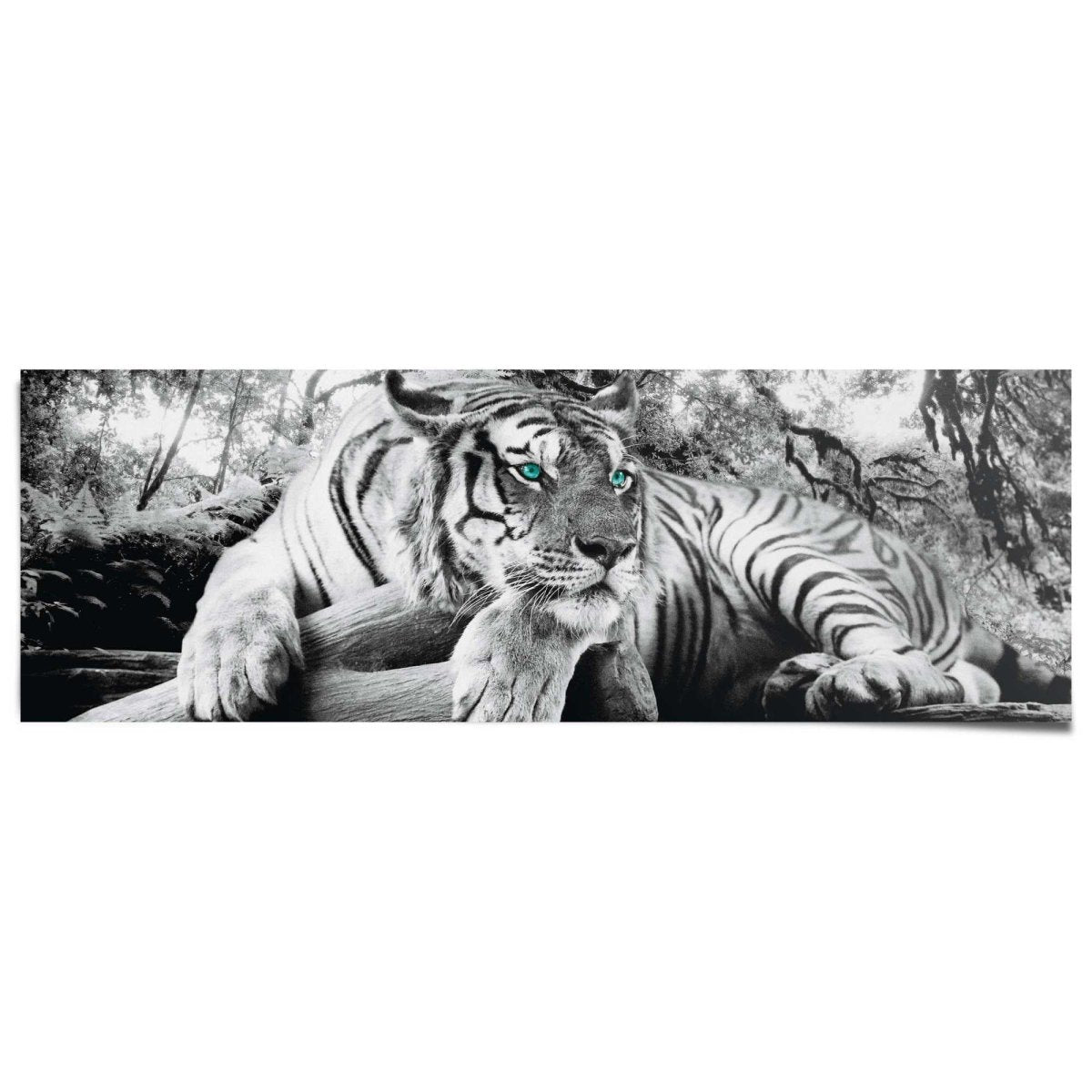 Poster Tijger 53x158 - Reinders