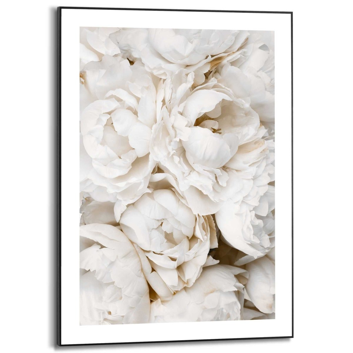 Schilderij White Roses 70x50 - Reinders