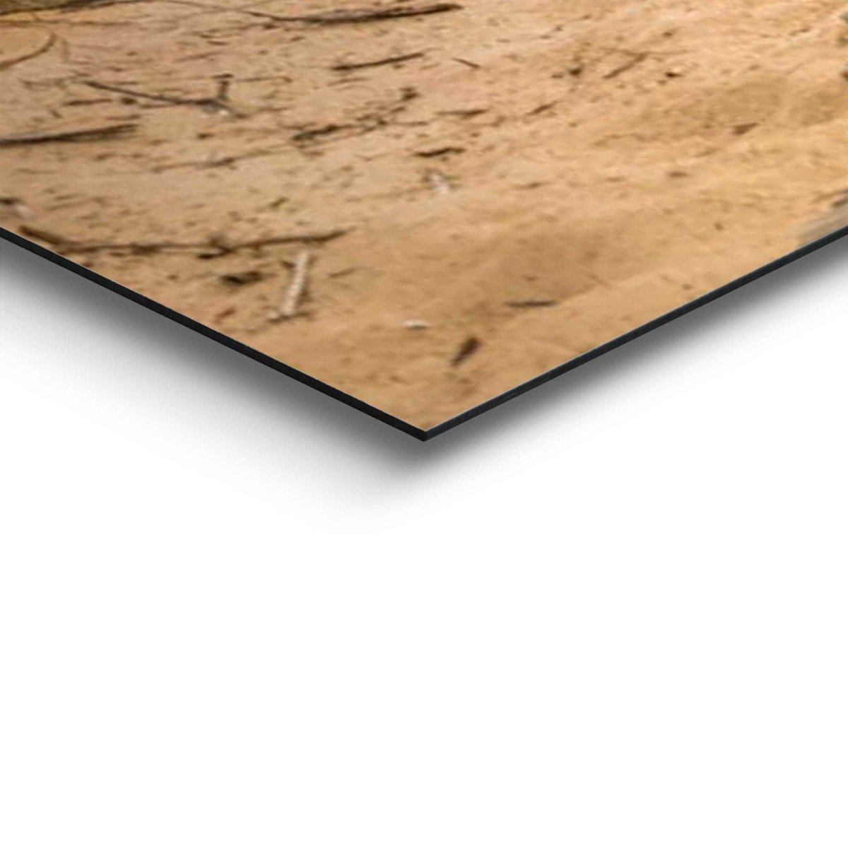 Schilderij Zonsondergang aan het Strand 100x140 - Reinders