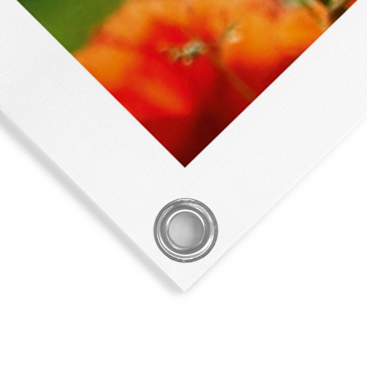 Tuinposter Klaprozen 80x60 - Reinders