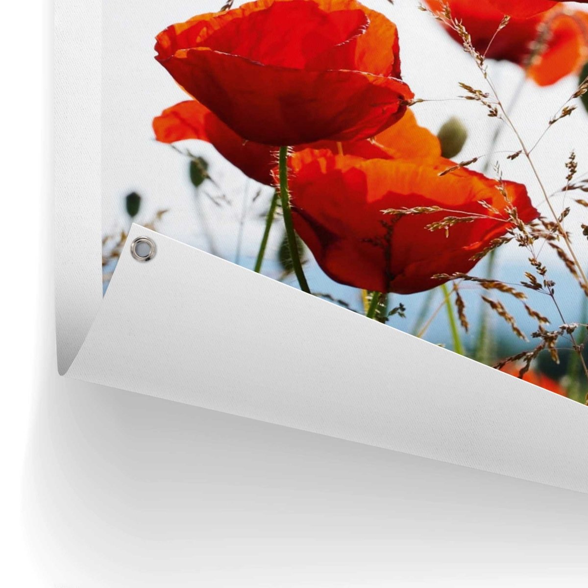 Tuinposter Klaprozen 80x60 - Reinders