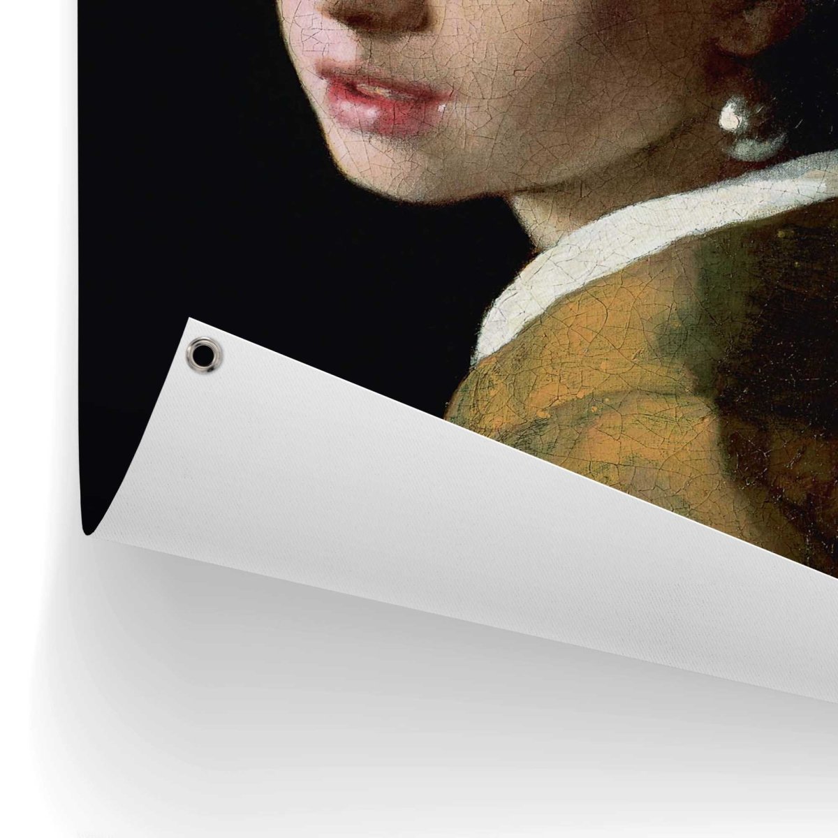 Tuinposter Vermeer Meisje met de parel 80x60 - Reinders