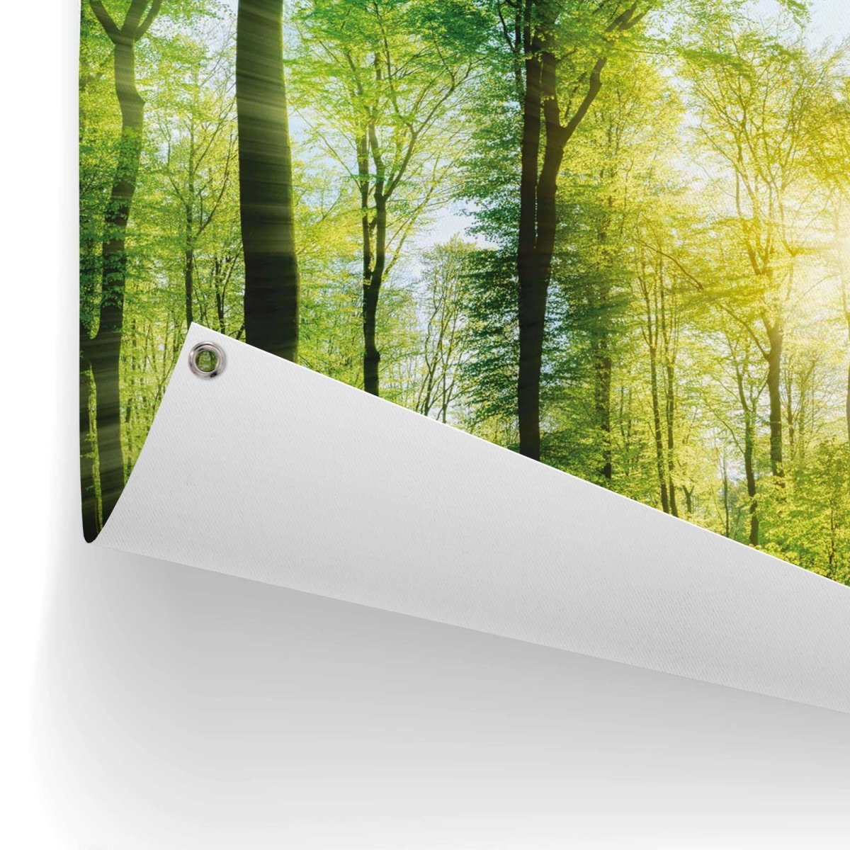 Tuinposter Zomer bos 60x80 - Reinders