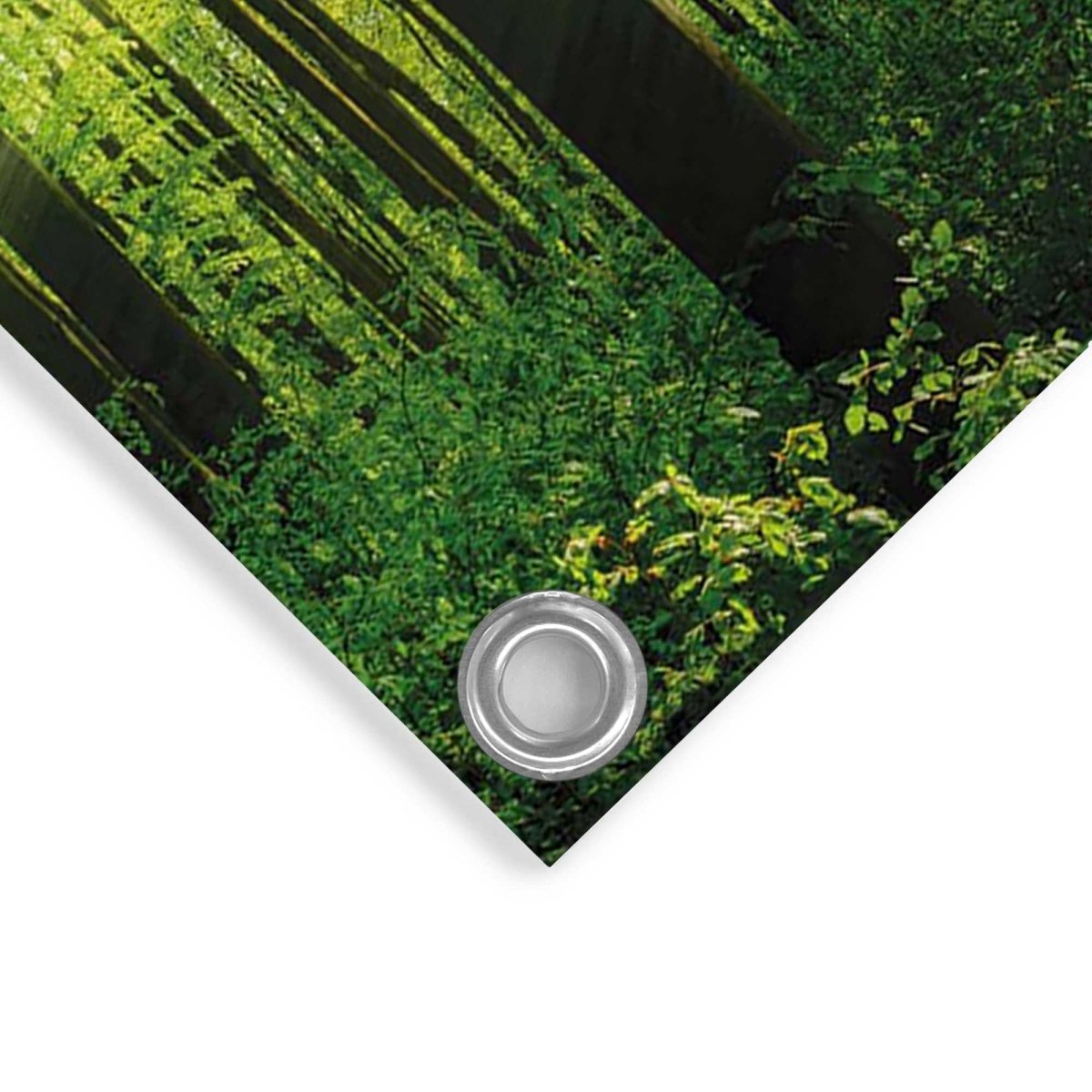 Tuinposter Zomer bos 60x80 - Reinders