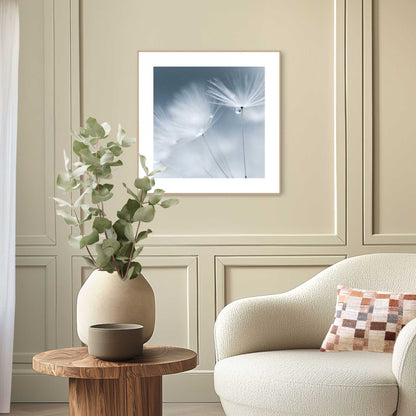 Schilderij Paardenbloem dauw 50x50