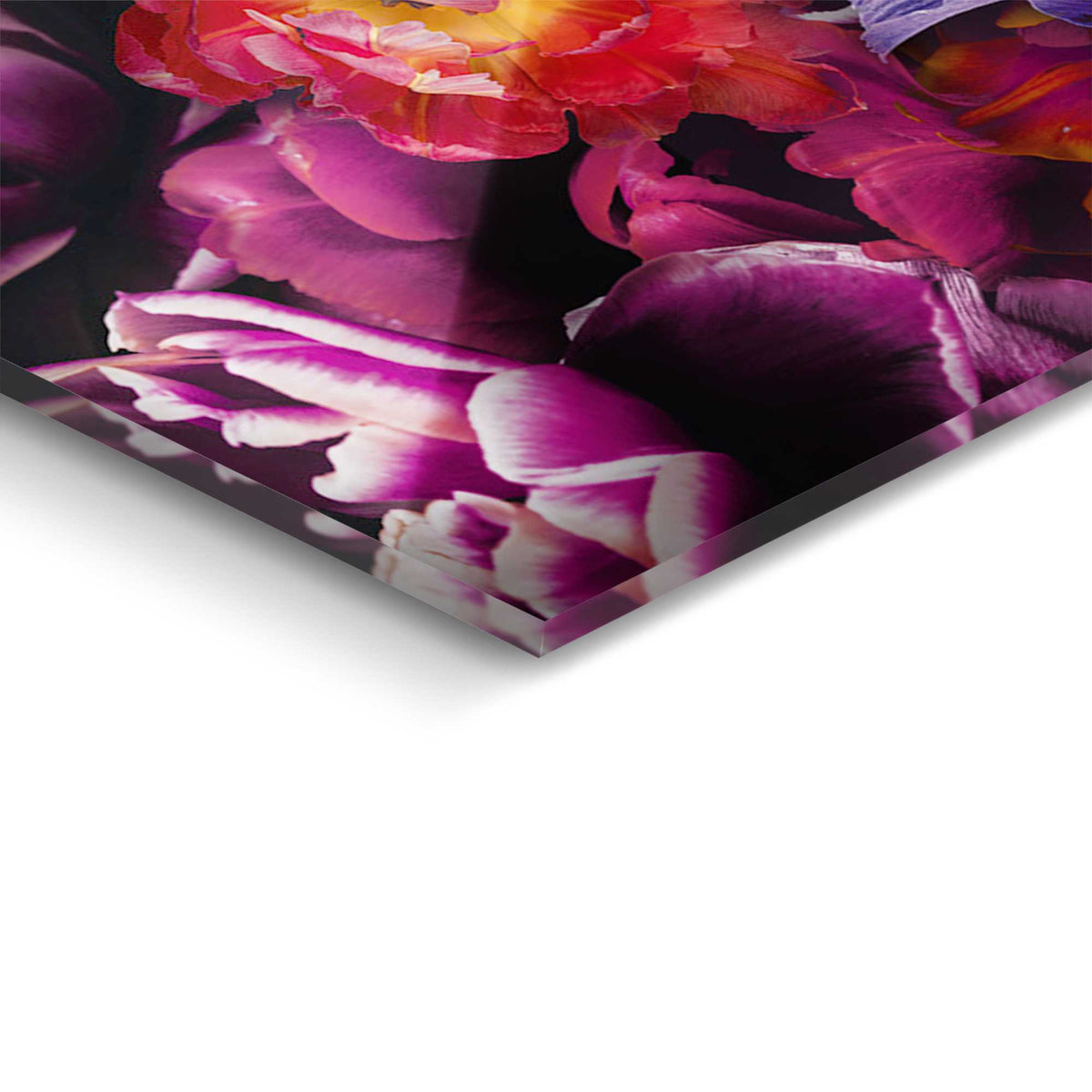 Glasschilderij Bloemen tijger 78x116