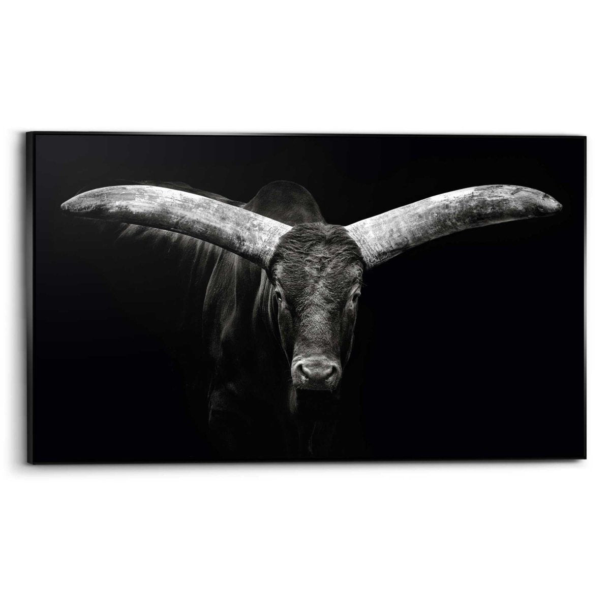 Art Frame Os 70x118 - Art Frame - Reinders