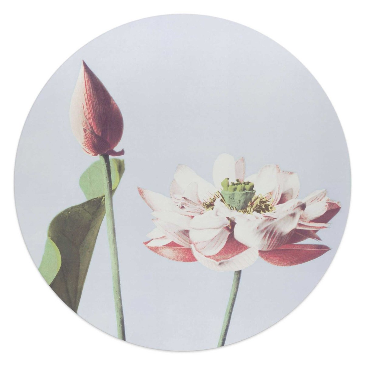 Glasschilderij Elegante Bloem 50 Rond - Reinders