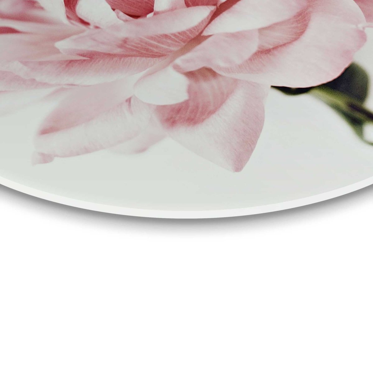 Glasschilderij Pioenroos 50 Rond - Reinders