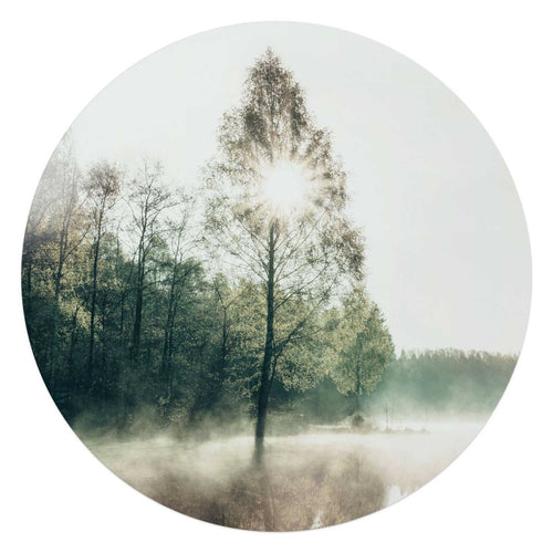 Glasschilderij Zon door de boom 70 Rond