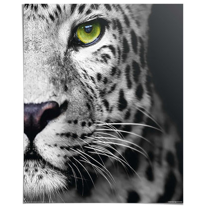 Poster Luipaardenblik 50x40 - Reinders