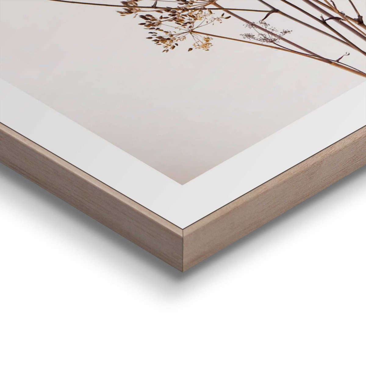 Schilderij Bereklauw 40x30 - Reinders