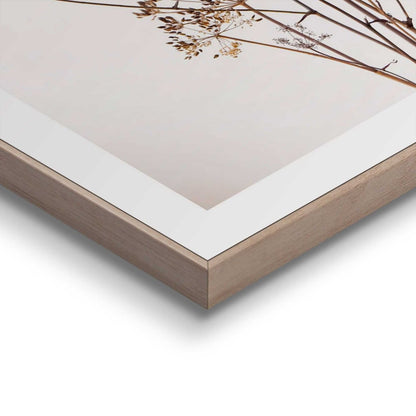 Schilderij Bereklauw 40x30 - Reinders