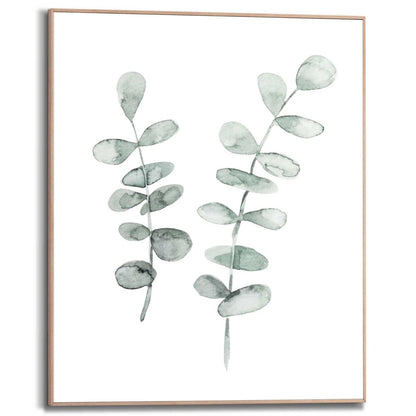 Schilderij Eucalyptus 50x40 - Reinders