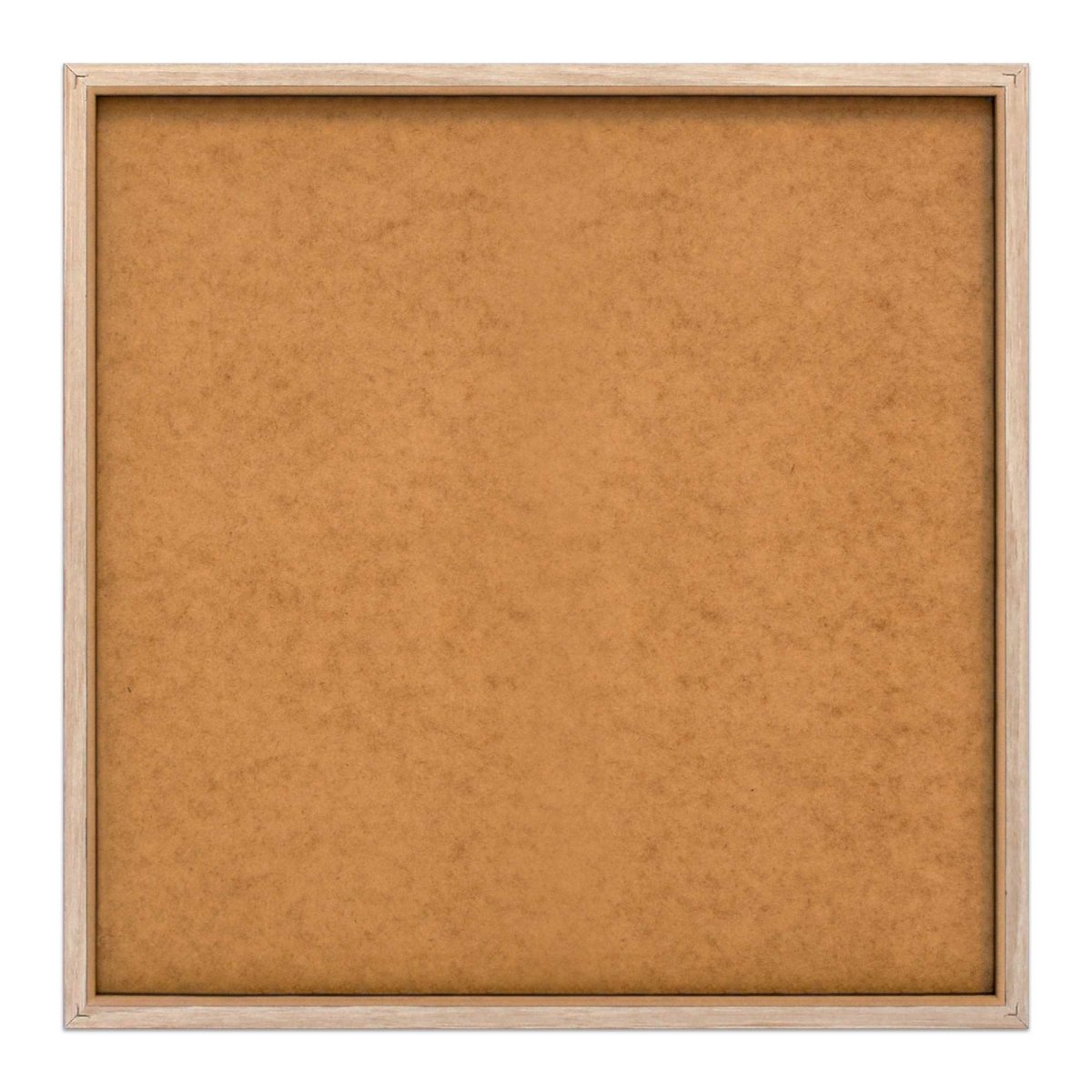 Schilderij Pampasgras 50x50 - Slim Frame - Reinders