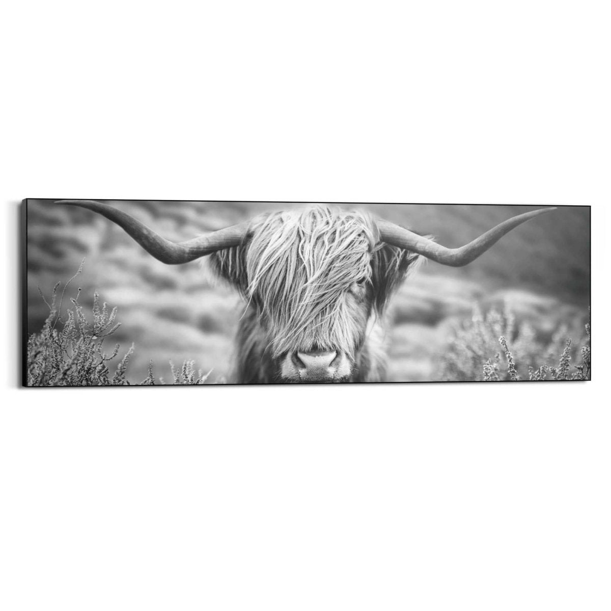 Schilderij Schotse Hooglander 52x156 - Reinders
