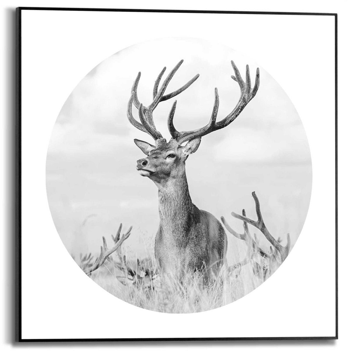 Schilderij Trots hert 50x50 - Reinders