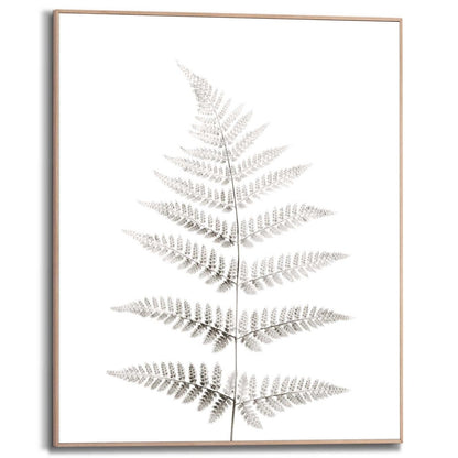 Schilderij Varen 50x40 - Reinders