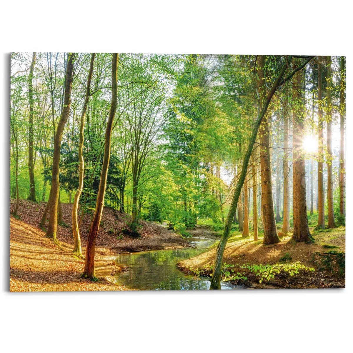 Schilderij Zonnig bos 100x140 - Reinders