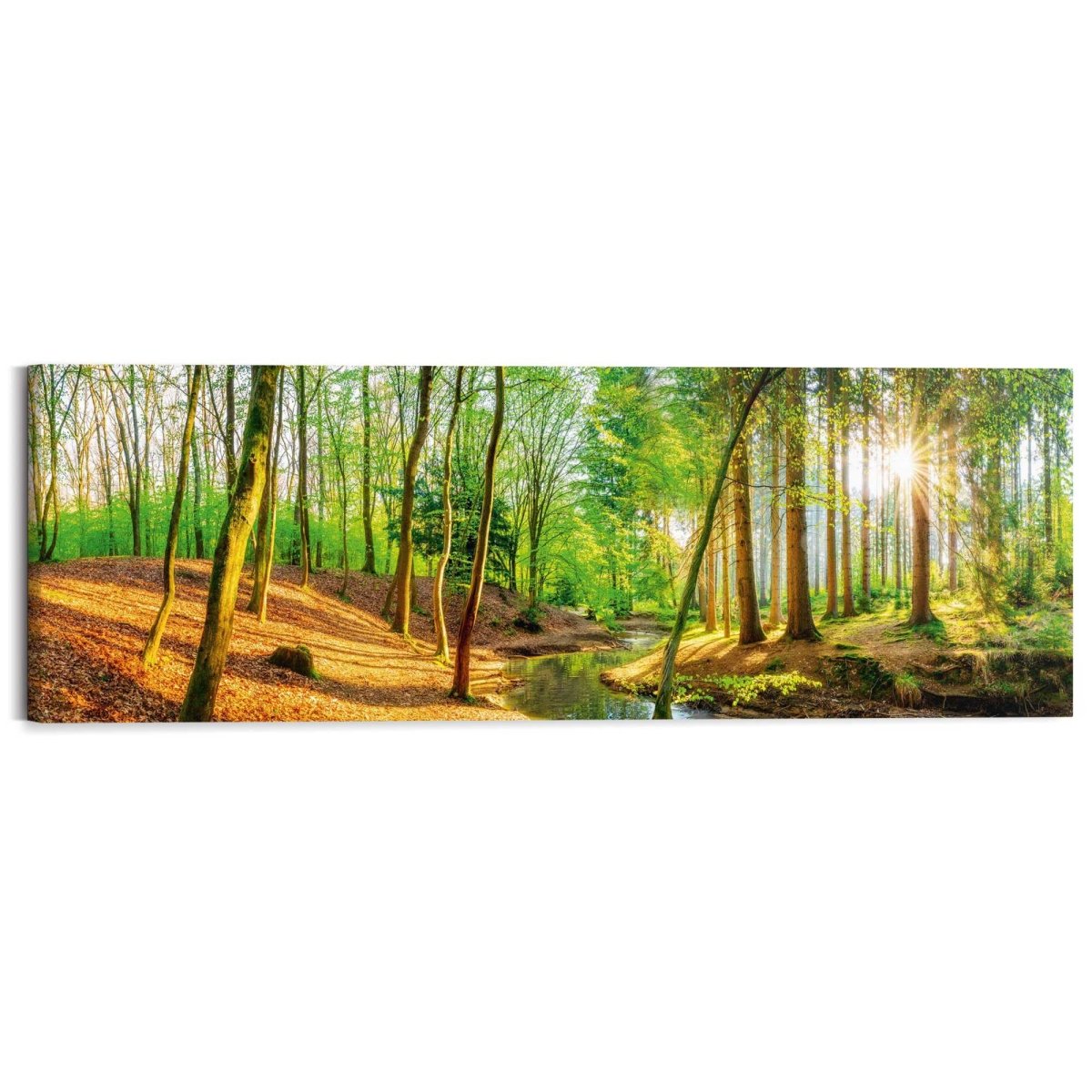 Schilderij Zonnig bos 40x118 - Deco Block - Reinders