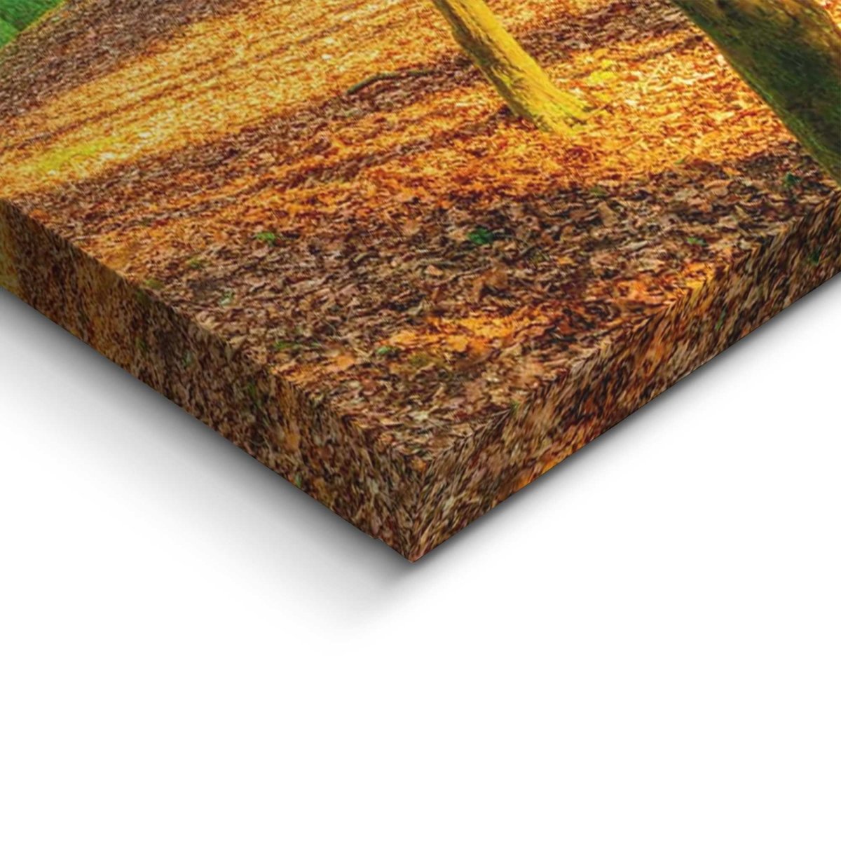 Schilderij Zonnig bos 40x118 - Deco Block - Reinders