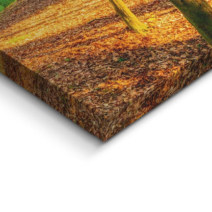 Schilderij Zonnig bos 40x118 - Deco Block - Reinders