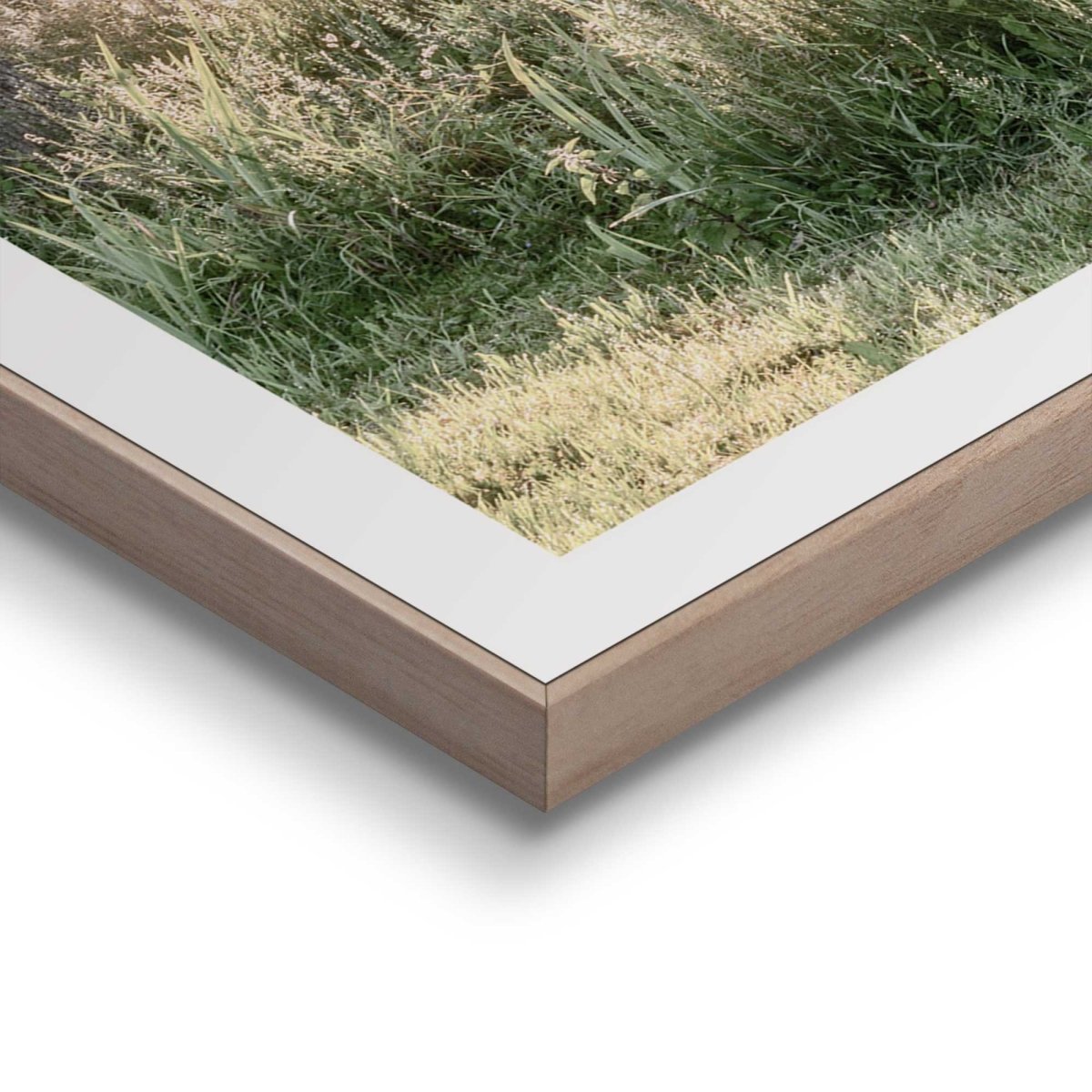Schilderijen set Nature Vibe 50x50 - Reinders