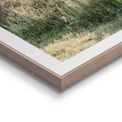 Schilderijen set Nature Vibe 50x50 - Reinders