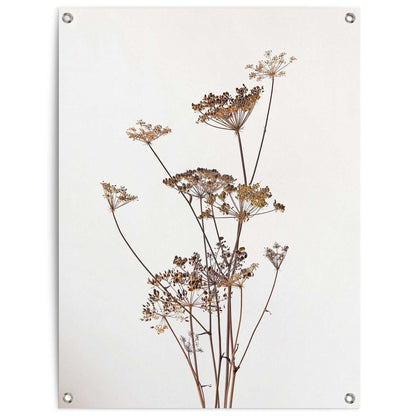 Tuinposter Bereklauw 80x60 - Reinders