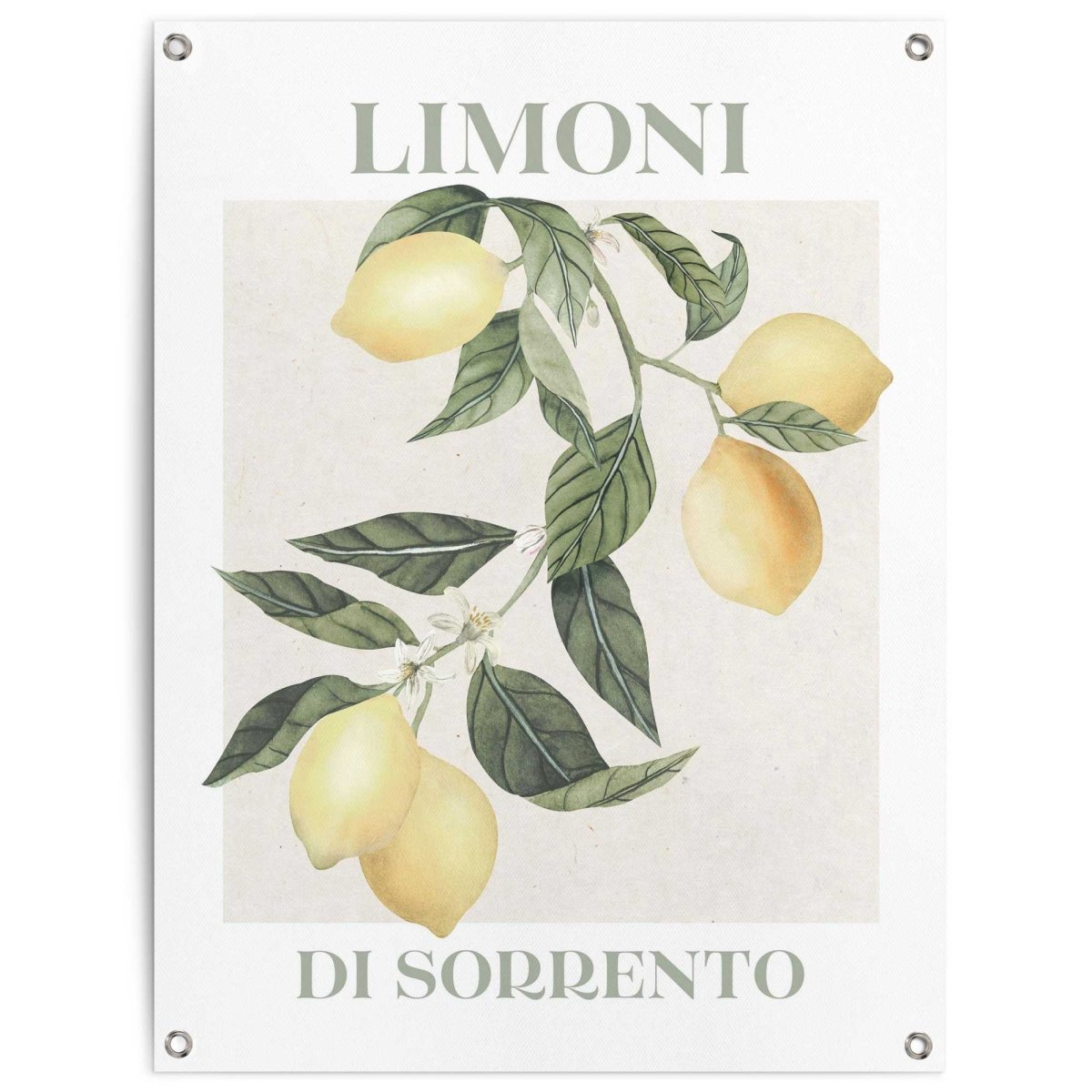 Tuinposter Limoni 80x60 - Reinders