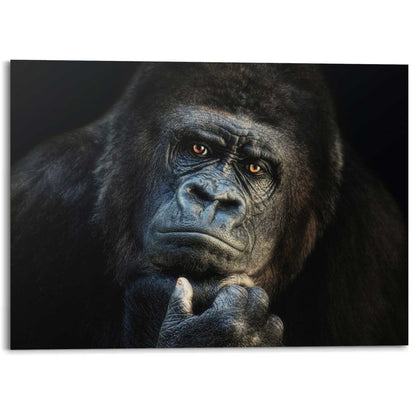 Alu-Dibond Gorilla 100x140 - Reinders
