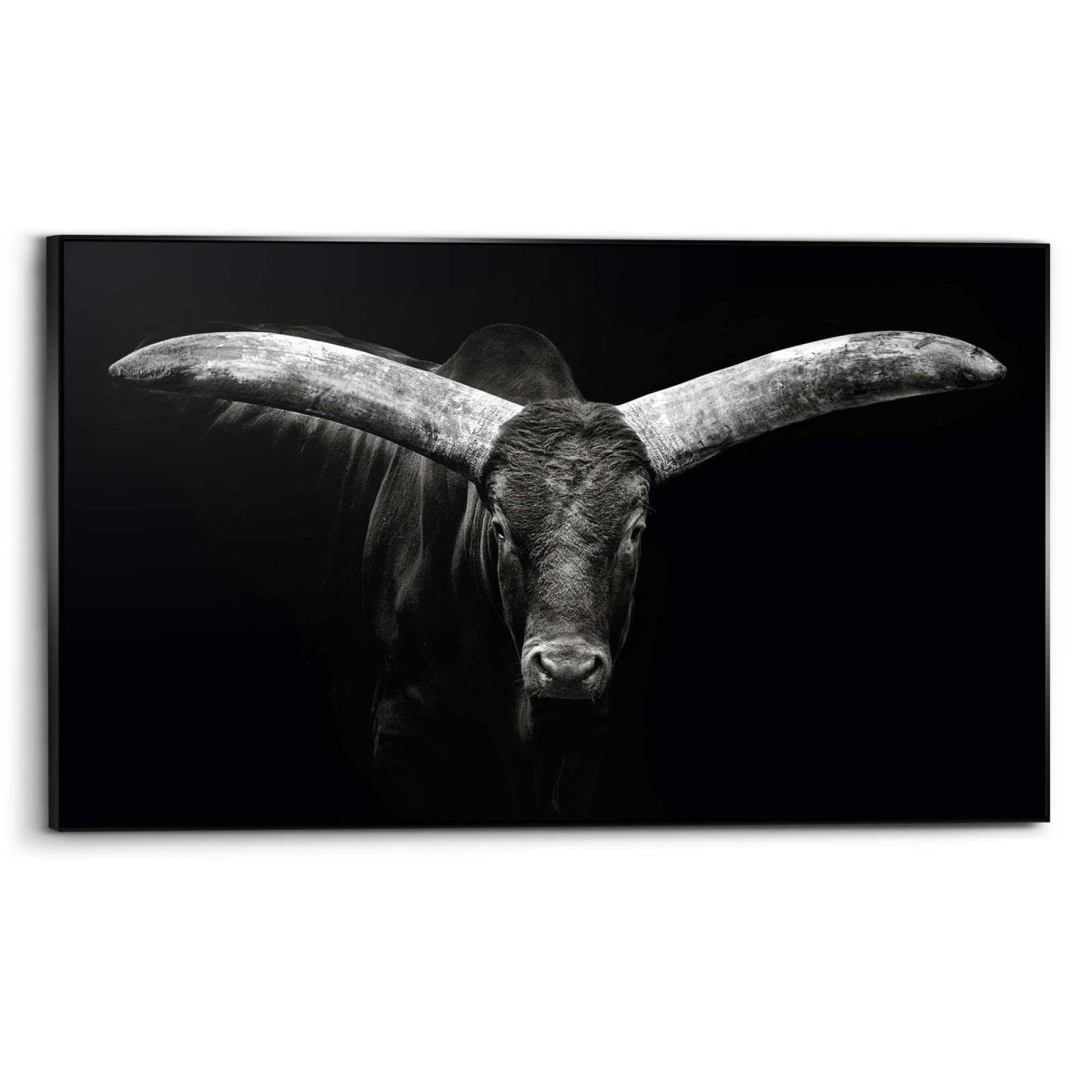 Art Frame Os 70x118 - Reinders