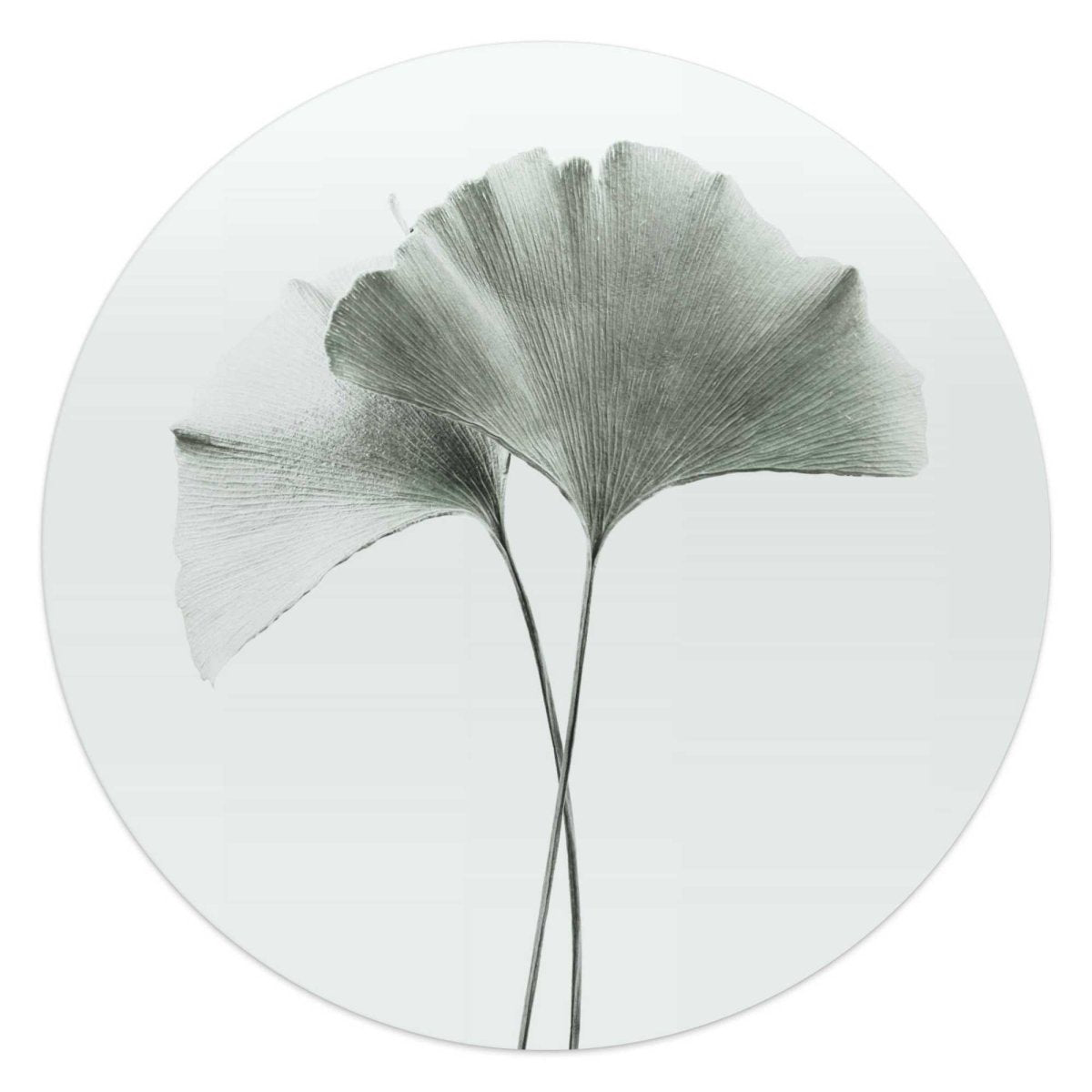 Glasschilderij Ginkgo Blad 50 Rond - Reinders