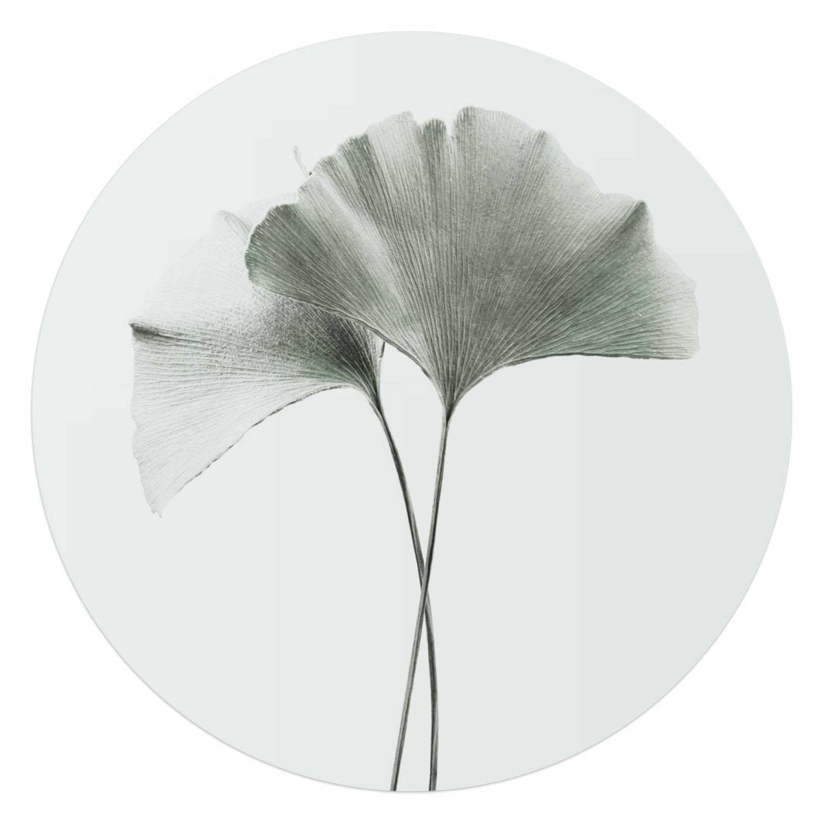 Glasschilderij Ginkgo Blad 70 Rond - Reinders