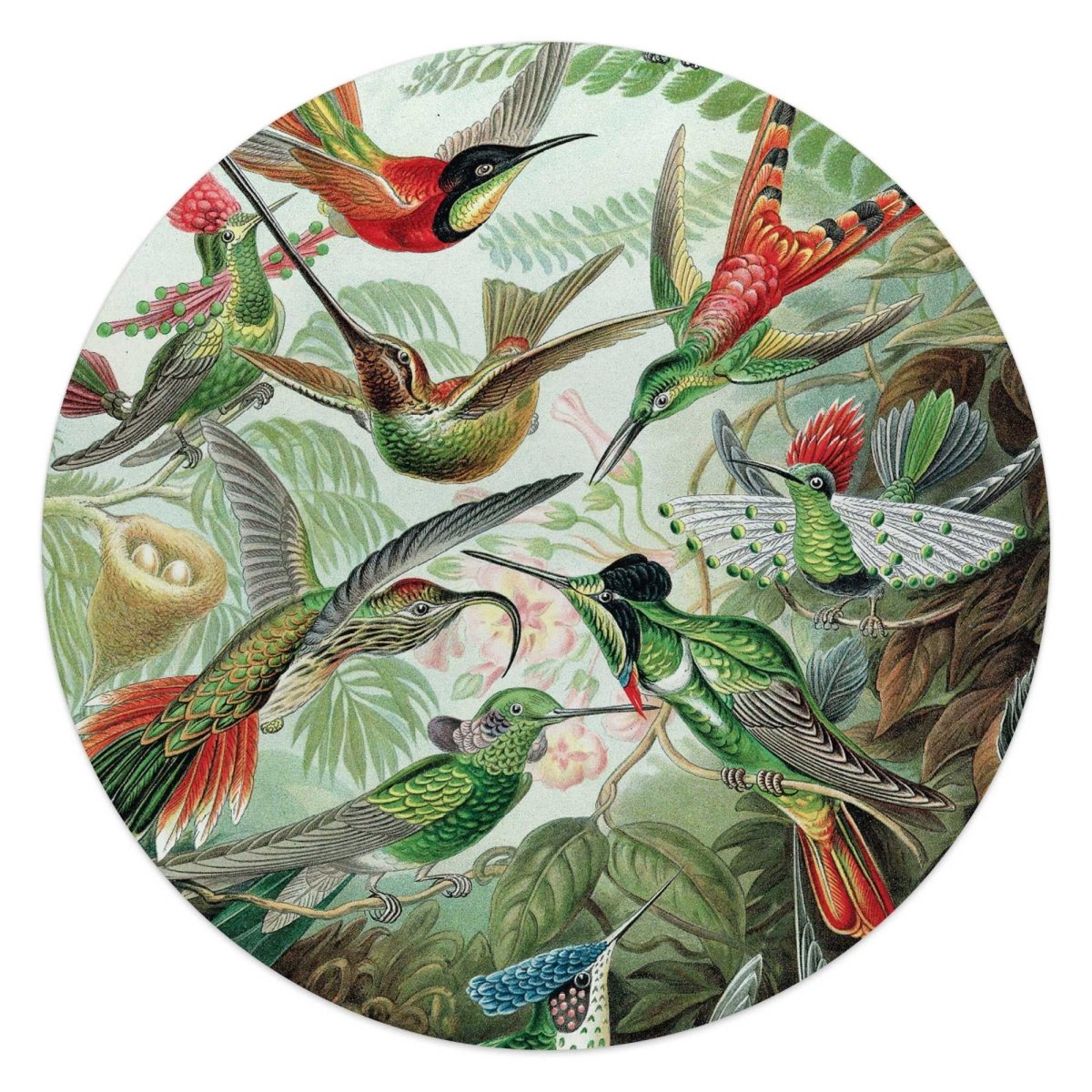 Glasschilderij Hummingbirds 50 Rond - Reinders