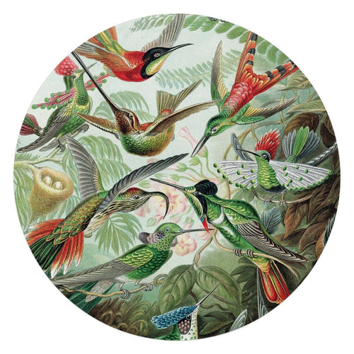 Glasschilderij Hummingbirds 70 Rond