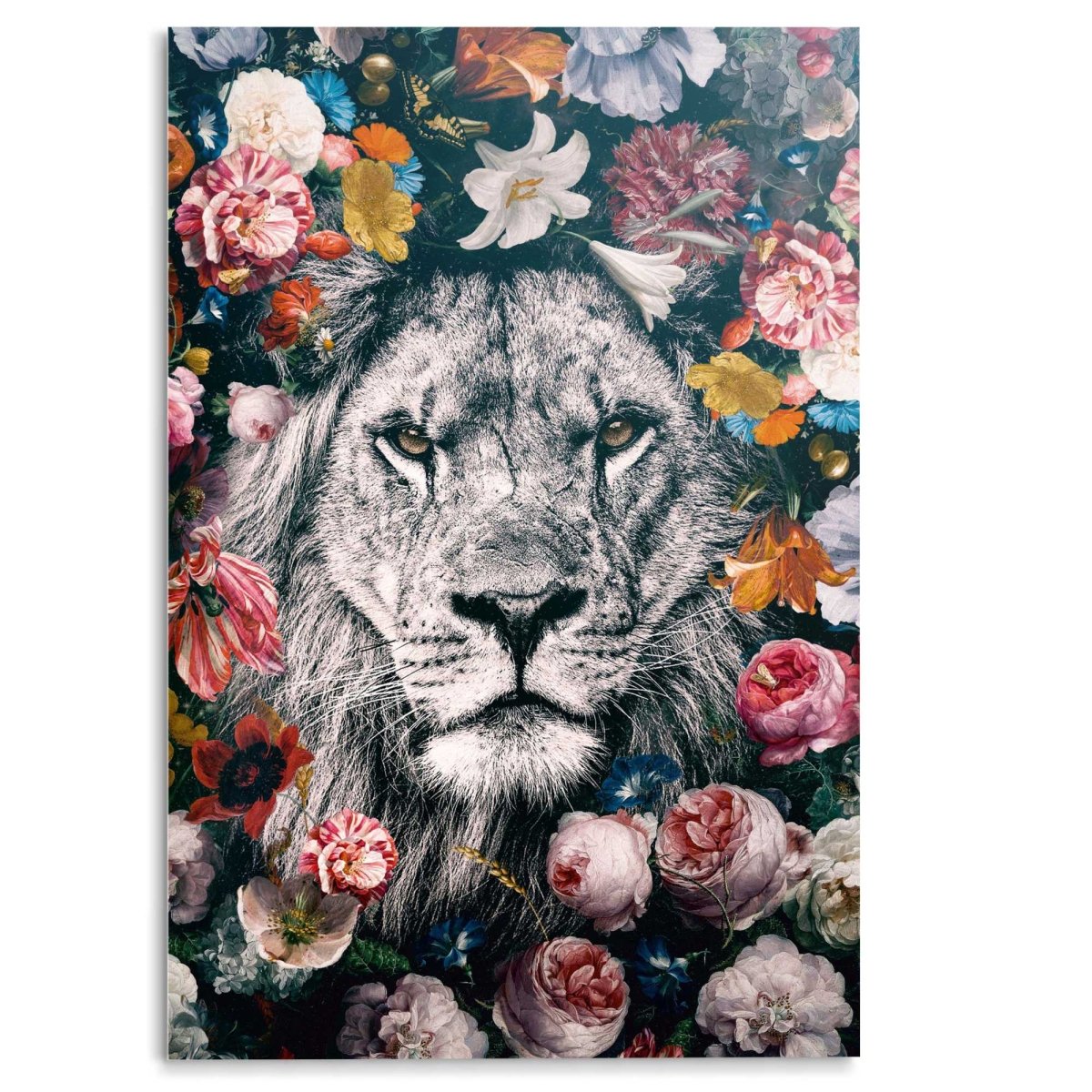 Glasschilderij Jungle leeuw 116x78 - Reinders