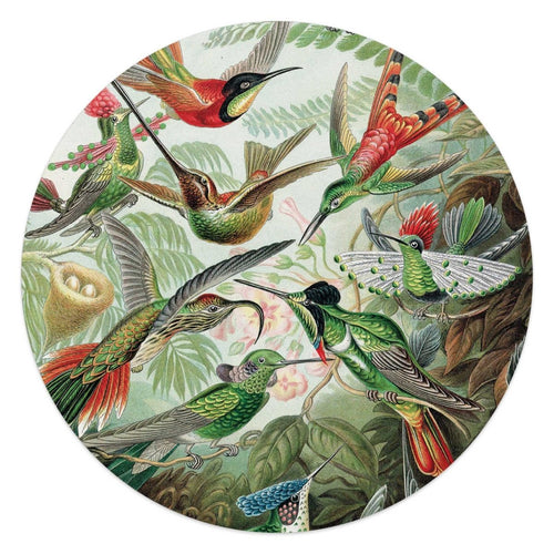 Plexiglasschilderij Hummingbirds 50 Rond